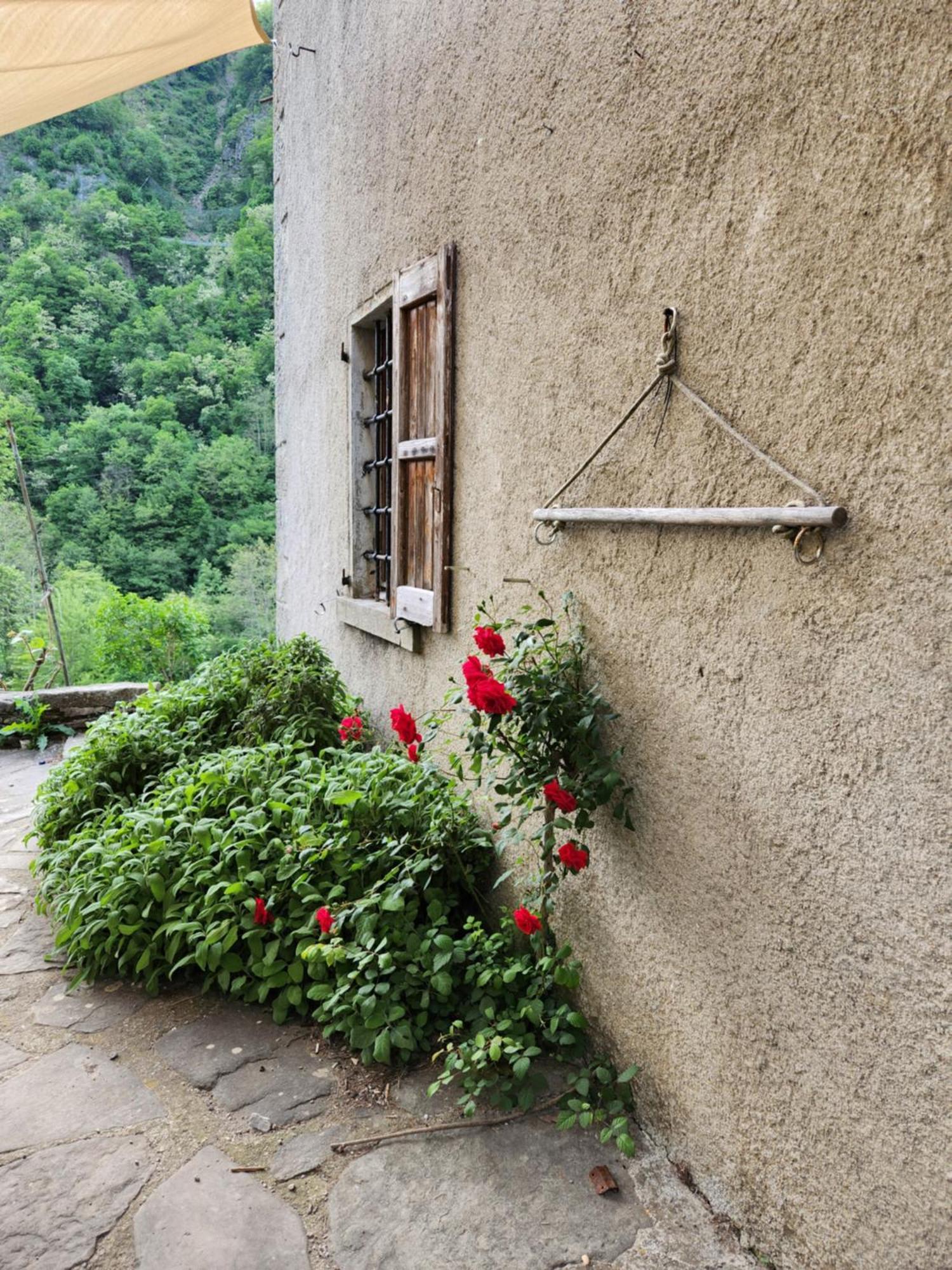 Villa Contea Del Piano Piteglio Exterior foto